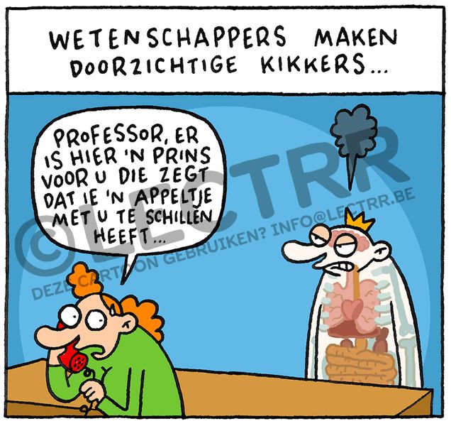 Doorzichtige kikker